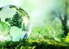 Luật bảo vệ môi trường mới nhất